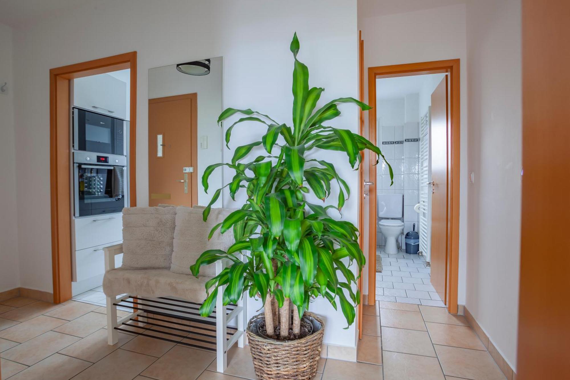 Exclusive 2-Room-City-Apartment - Contactless Check-In Hanovra Exterior foto